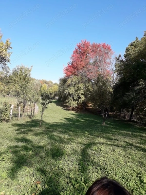 Vânzare teren intravilan în Talea, Prahova   2724 mp - imagine 4