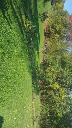 Vânzare teren intravilan în Talea, Prahova   2724 mp - imagine 5