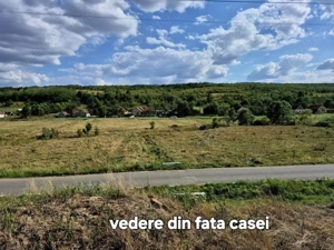 Teren Stanciova cu fundatie, casuta mica + șură din lemn si lut - 1182mp - imagine 2