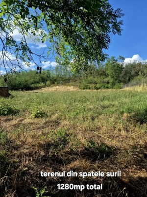 Teren Stanciova cu fundatie, casuta mica + șură din lemn si lut - 1182mp - imagine 5