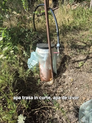 Teren Stanciova cu fundatie, casuta mica + șură din lemn si lut - 1182mp - imagine 7