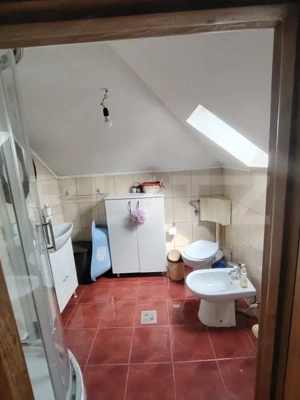 Casă cu mobilier premium și grădină spectaculoasă in Tarnaveni - imagine 18
