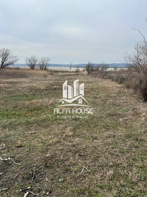 Teren de vânzare la Dunăre , între Moldova Nouă și Coronini !  - imagine 4