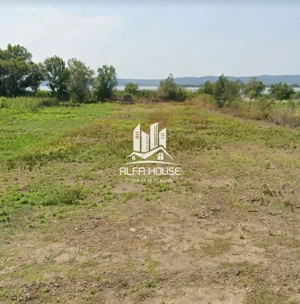 Teren de vânzare la Dunăre , între Moldova Nouă și Coronini !  - imagine 2
