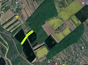 Teren Domnesti Teghes