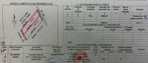 Teren Domnesti Teghes - imagine 3