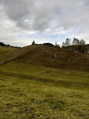 Teren de 4124 m2 intravilan, centrul comunei Fundata cu panorama spre Muntii Bucegi - imagine 5