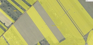 De Vanzare Teren Extravilan Ganeasa Ilfov - 2.175 mp - pret negociabil - imagine 2