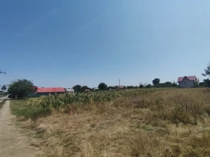 Teren intravilan Ungureni Filipestii de Targ