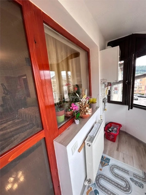 Resita,3cam,cf.1.Dec.Lunca - imagine 12