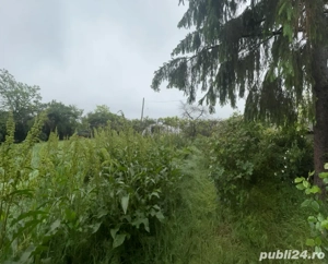 Casa 3 camere 100mp si curte de 2000mp - imagine 3