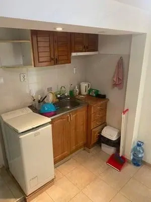 Apartament cu 1 camera in zona Lipovei - imagine 2