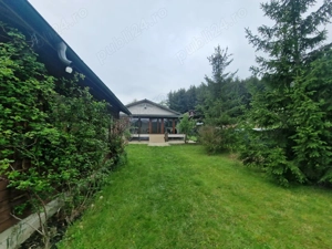 Casă la liziera pădurii  Valea Ursului, Bascov, Argeș   2 km de Pitești - imagine 13