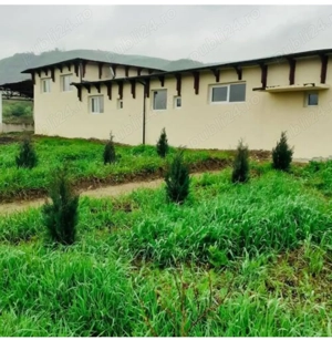 Vând Ferma (complex) zootehnica