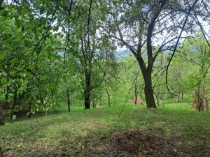 Teren intravilan de vânzare 5991.mp  loc Șotrile  - imagine 2