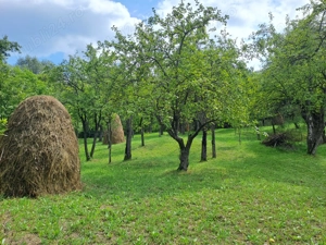 Teren intravilan de vânzare 5991.mp  loc Șotrile  - imagine 4