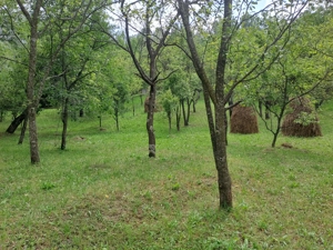 Teren intravilan de vânzare 5991.mp  loc Șotrile  - imagine 9