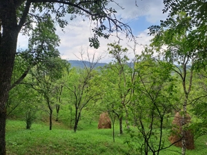 Teren intravilan de vânzare 5991.mp  loc Șotrile  - imagine 3