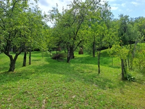 Teren intravilan de vânzare 5991.mp  loc Șotrile  - imagine 6