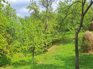 Teren intravilan de vânzare 5991.mp  loc Șotrile  - imagine 7