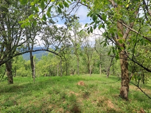 Teren intravilan de vânzare 5991.mp  loc Șotrile  - imagine 5