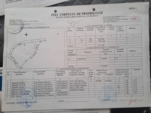Teren de vânzare 