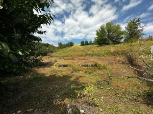 Teren extravilan 1870 mp-de vanzare 14€/mp Sohodol / Bacau