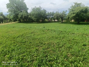 Vand casă tradițională din lemn + anexă, teren 58 ari, în Breb