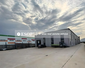 Depozit industrial, 1.950 mp, Teren 4.000 mp, Chitila, ID 15482 - imagine 3