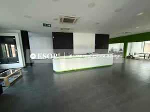 Depozit industrial, 1.950 mp, Teren 4.000 mp, Chitila, ID 15482 - imagine 7