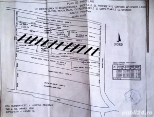 Teren in Dumbravesti, PH - imagine 2