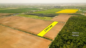 Teren intravilan 13953 mp Răcari lângă Pădurea Măriuța - oportunitate investiție
