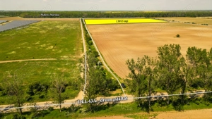 Teren intravilan 13953 mp Răcari lângă Pădurea Măriuța - oportunitate investiție