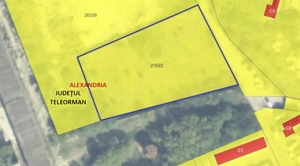  4000mp Alexandria in oras intravilan - imagine 3