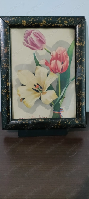 Tablou acuarela vechi