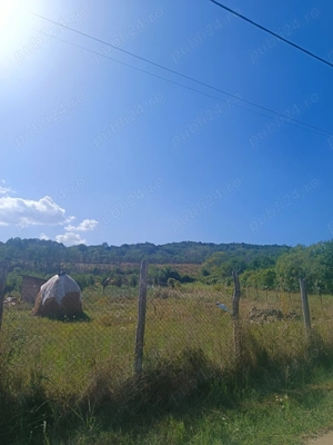 Teren intravilant premium 3.500 mp   Ionesti, toate utilitățile, solarii și pomi fructiferi  - imagine 3