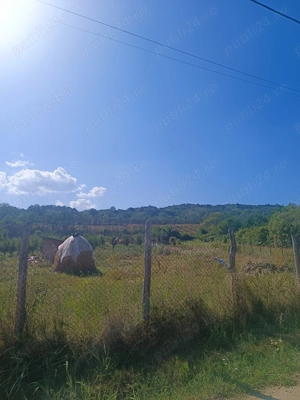 Teren intravilant premium 3.500 mp   Ionesti, toate utilitățile, solarii și pomi fructiferi  - imagine 2