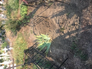 Imprejmuiri loc de veci   Bârlad și împrejurimi