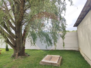 Casa de vanzare - imagine 18