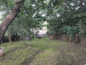 Vand casa 6 camere + garaj + anexe + 1 hectar teren lângă casa - imagine 7