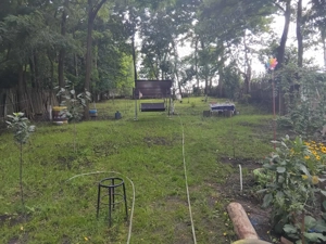 Vand casa 6 camere + garaj + anexe + 1 hectar teren lângă casa - imagine 8