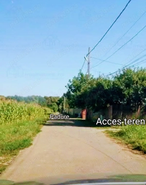 Moara Vlasiei- teren - imagine 2