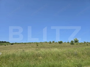 Teren intravilan construibil  in Salicea  - imagine 5