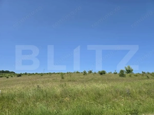 Teren intravilan construibil  in Salicea  - imagine 3