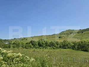 Teren intravilan construibil  in Salicea  - imagine 6