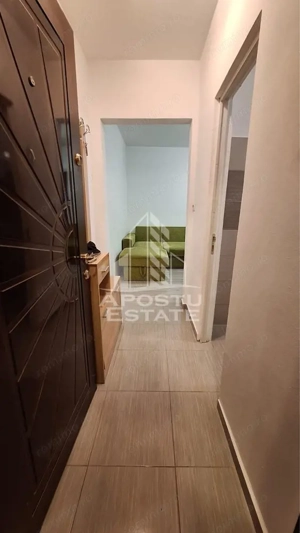 Apartament de inchiriat 2 canere sagului, pet frandly