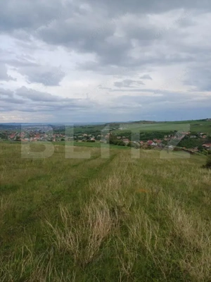 Teren extravilan 1248 mp in Copaceni! Oportunitate investitie!