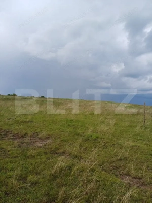 Teren extravilan 1248 mp in Copaceni! Oportunitate investitie!