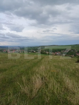 Teren extravilan 1249 mp in Copaceni! Oportunitate investitie!