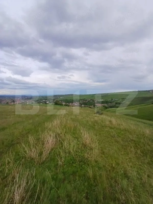 Teren extravilan 1249 mp in Copaceni! Oportunitate investitie! - imagine 2